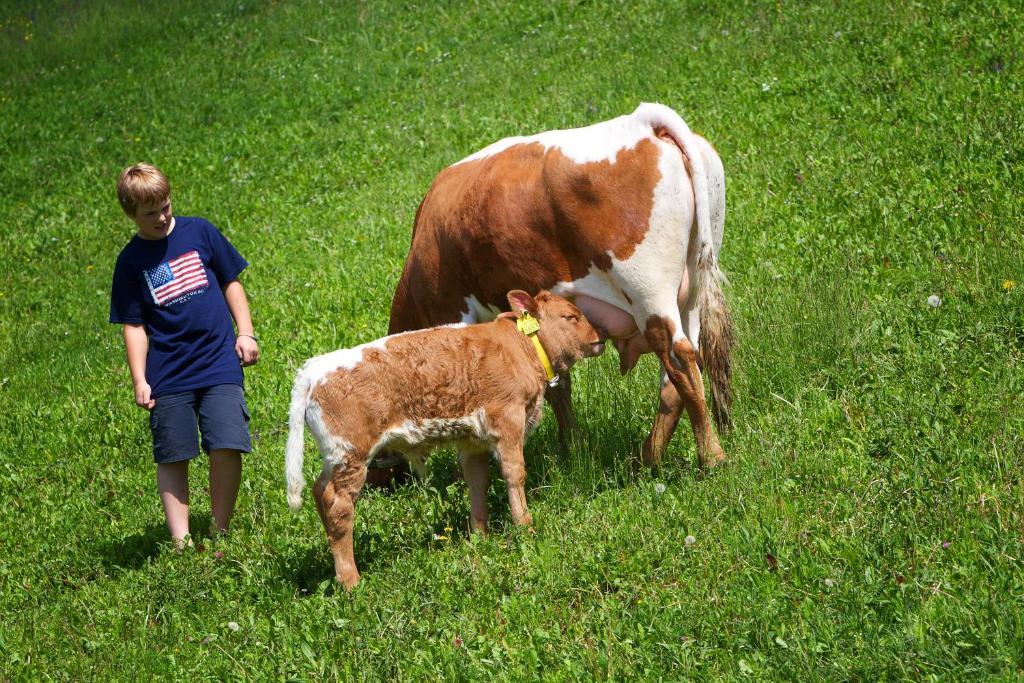 Farm Pirc Laško