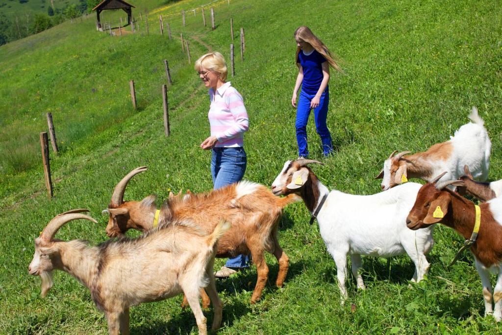Farm Pirc * Laško